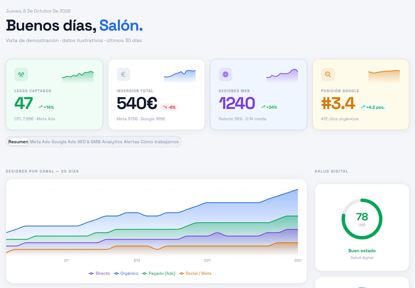 Panel de cliente de RaxisLab con leads, inversión, visitas y posición en Google